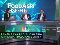 Gak Cuma Efek El Nino, Produksi Beras Anjlok Imbas Alih Fungsi Lahan!