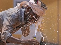 Potret Terkini Gelombang Panas 'Bakar' India, Manusia-Binatang Pingsan