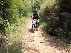Kades Buka Suara Soal Nenek Ditandu Bambu gegara Jalan Rusak di Ponorogo