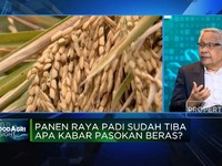 Pak Jokowi, Ini Daftar 