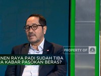 Produksi Beras Turun, Ada Kesalahan Pengelolaan Sistem Pertanian?