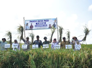 OKI Dapat Opla 65 Ribu Hektare, Produksi Padi Meningkat hingga 3 Kali Panen