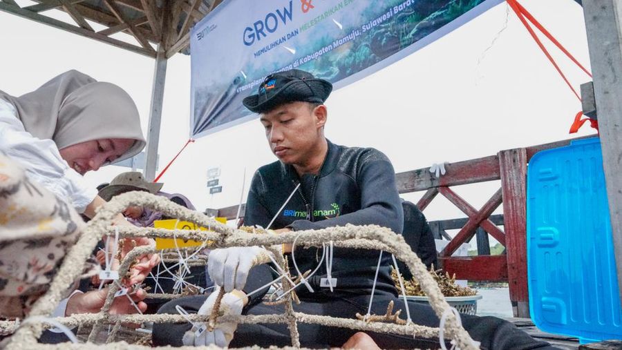Program Menanam - Grow & Green