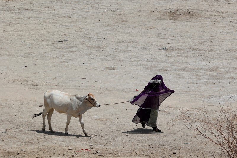 Para buruh tidur di pinggir jalan pada pagi hari musim panas yang terik di Karachi, Pakistan, Rabu (29/5/2024). (AP Photo/Fareed Khan) Para buruh tidur di pinggir jalan pada pagi hari musim panas yang terik di Karachi, Pakistan, Rabu (29/5/2024). (AP Photo/Fareed Khan)