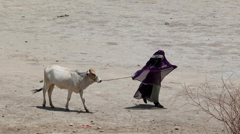 Para buruh tidur di pinggir jalan pada pagi hari musim panas yang terik di Karachi, Pakistan, Rabu (29/5/2024). (AP Photo/Fareed Khan)