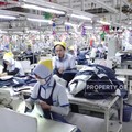 Fenomena Langka 12 Tahun: Manufaktur Tumbuh Tinggi, Rezeki Atau Ilusi?