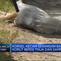 Video: Korsel Kecam Serangan Balon Korut Berisi Tinja & Sampah