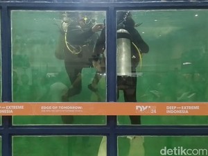 Menjajal Scuba Diving di Kolam Renang Mini dari Kontainer