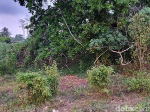 Jejak Situs Gunung Wingko Bantul, Konon Desa Tertua di Pantai Selatan Jawa