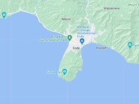 Data Pengguna Google Mendadak Hilang, Banyak yang Bingung
