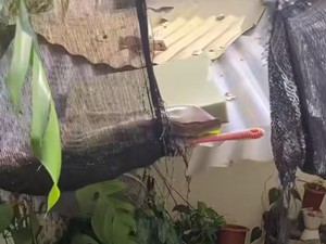 Viral Puing Renovasi Kantor Kecamatan Limo Timpa Rumah, Camat Buka Suara