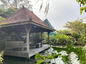 Menikmati Makanan Nusantara di Kafe dengan Konsep Taman Asri