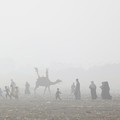 'Neraka Bocor' Hantam Irak, Suhu Tembus 51 Celcius-Warga Terpanggang
