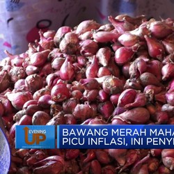 Video: Bawang Merah Mahal dan Picu Inflasi, Ini Penyebabnya