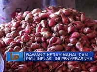 Video: Bawang Merah Mahal dan Picu Inflasi, Ini Penyebabnya