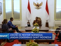 Video: Jokowi ke Menteri Norwegia: Jangan Diskriminasi Sawit Indonesia