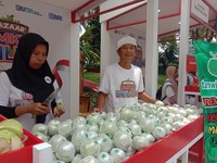 Klaster Jambu Kristal di Purworejo Maju Berkat KUR BRI