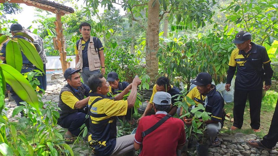 Dok PTBA