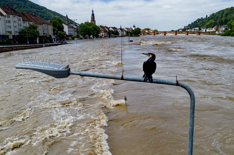 A car washed away by floodwater rests on a well, in Rudersberg, Germany, Monday, June 3, 2024. Persistent heavy rain led to widespread flooding in the southern states of Bavaria and Baden-Wuerttemberg over the weekend. (Bernd Wei'brod/dpa via AP)