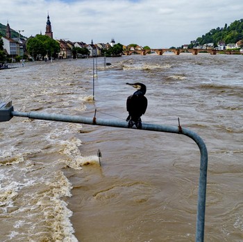 Bencana Baru Guncang Jerman, Ratusan Warga Dievakuasi