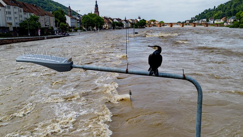 A car washed away by floodwater rests on a well, in Rudersberg, Germany, Monday, June 3, 2024. Persistent heavy rain led to widespread flooding in the southern states of Bavaria and Baden-Wuerttemberg over the weekend. (Bernd Wei'brod/dpa via AP)