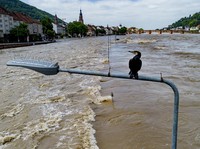 Bencana Baru Guncang Jerman, Ratusan Warga Dievakuasi