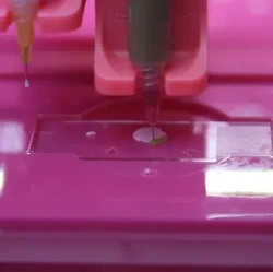 L'Oreal Buat Kulit Manusia di Lab yang Punya 'Rasa'