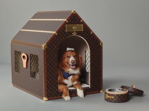 Pharrell Williams Bikin Aksesori Mewah Buat Anjing, Dirilis Louis Vuitton Akhir 2024