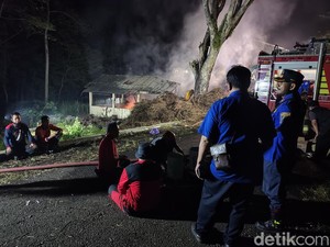 Gudang Kayu Putih Hutan Bunder Terbakar, Damkarmat Jogja Bantu Padamkan