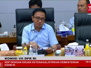 Pimpinan Komisi VII DPR Singgung Artis yang Pakai Gas LPG 3 Kg