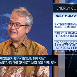 Pertamina Berupaya Mengulang Masa Kejayaan Blok Rokan, Ini Caranya