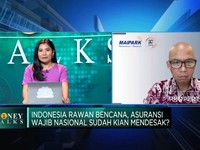 Indonesia Rawan Bencana, Perluasan Asuransi Bencana Alam Mendesak?