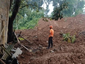 Longsor di Caringin Bogor, Rumah Warga dan Kandang Sapi Tertimbun