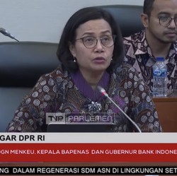 Sri Mulyani Soroti Sederet Risiko yang Hantui Investasi RI di 2025