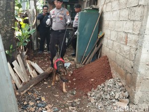 Anjing Miko Sering Endus Kamar Pelaku Saat Susuri Jejak Bocah Bekasi Dibunuh
