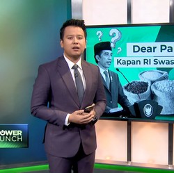 Video: Dear Pak Jokowi, Kapan RI Swasembada Beras?