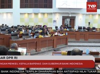 DPR Kesal! Kekayaan RI Dikeruk, Dijual & Dolarnya Dibawa Kabur