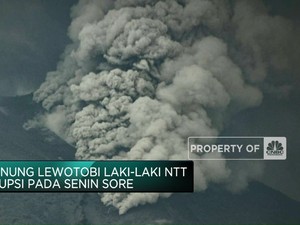 Update Erupsi Gunung Lewotobi Laki-Laki NTT & Gunung Ibu di Halmahera