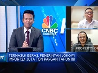 Cara Jitu Bikin Petani 'Semangat' Produksi & Kurangi Impor Pangan RI