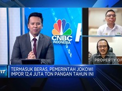 Cara Jitu Bikin Petani 'Semangat' Produksi & Kurangi Impor Pangan RI