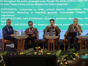 RI Usulkan Selat Lombok Jadi Wilayah Particularly Sensitive Sea Area, Apa Itu?