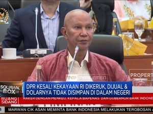  DPR Kesal! Kekayaan RI Dikeruk, Devisanya Malah Ke Luar Negeri