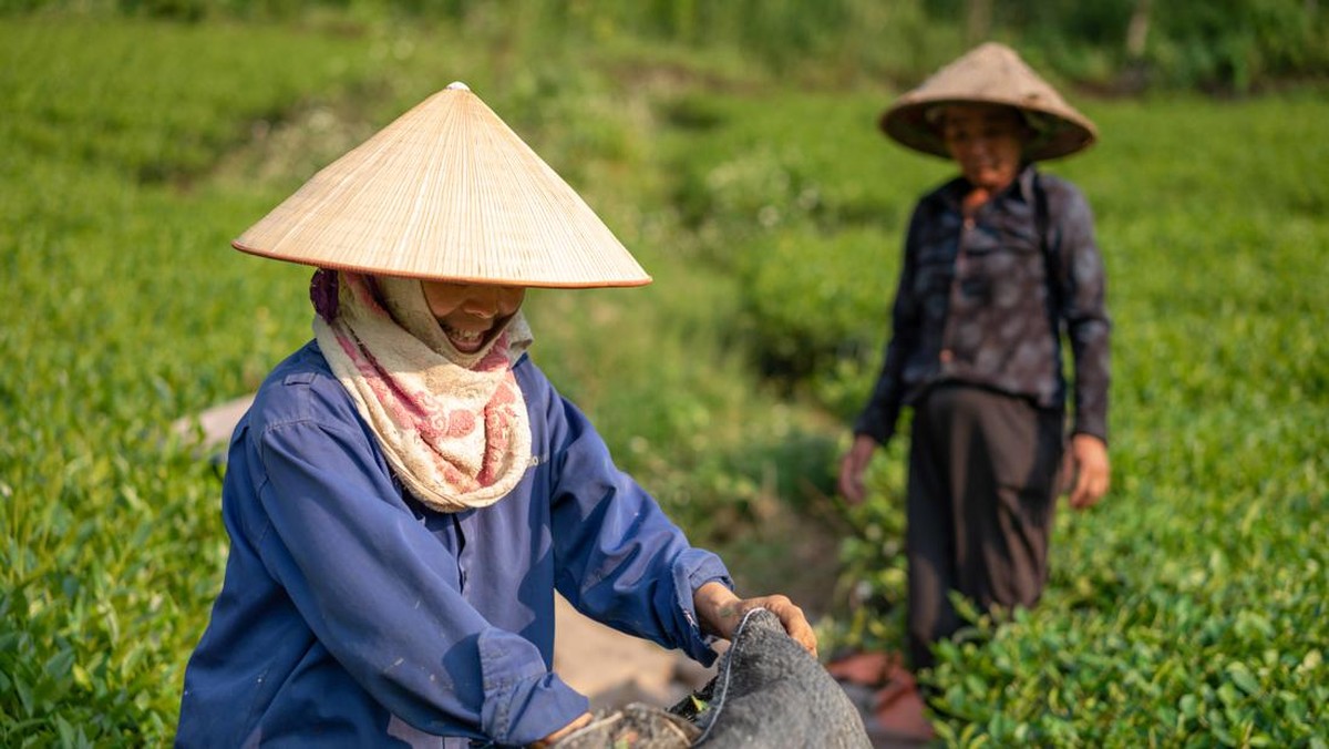 Kenali Kriteria Petani yang Berhak Nikmati Subsidi Pupuk dari Pemerintah!