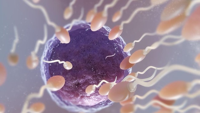 Temuan Sperma Nyasar di Luar Angkasa, Ambisi Manusia Bisa Buyar