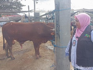 4 Ekor Sapi Terjangkit LSD di Pasar Hewan Kota Blitar