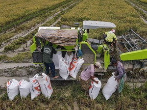 Kalender Jawa Jumat Pon 5 Juli 2024: Panen Akan Melimpah