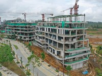 Top! Kantor Kemenko 3 IKN Garapan WSKT Kelar Sebelum HUT RI