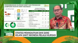 Video: Bukan Hanya Produsen, Ini Alasan RI Harus Pimpin Pasar CPO