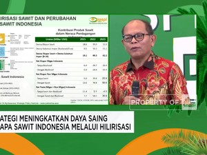 Video: Bukan Hanya Produsen, Ini Alasan RI Harus Pimpin Pasar CPO