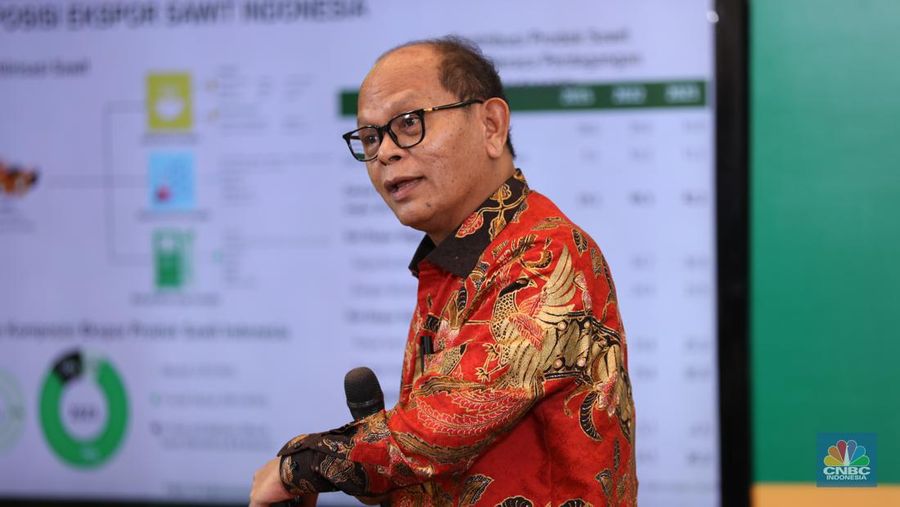 Direktur Eksekutif palm Oil Agribusiness Strategic Policy Institute (PASPI), Tungkot Sipayung saat memberikan pemaparan Special Dialogue APKASINDO di Menara Tendean, Jakarta Selatan, Kamis (6/6/2024). (վ/Tri Susilo)